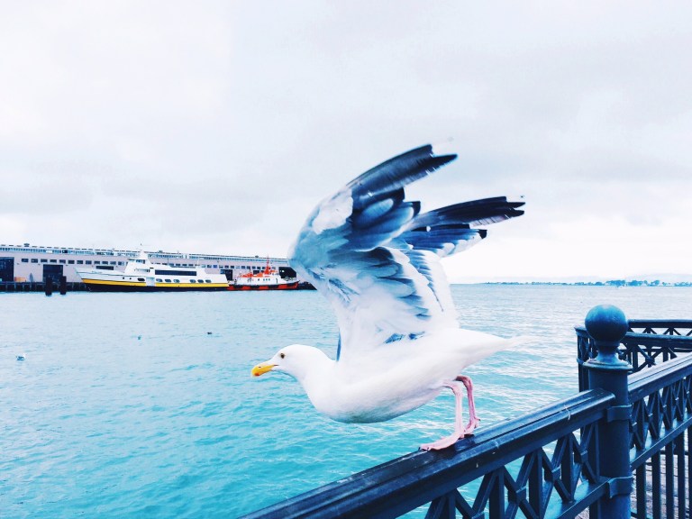 Processed with Rookie Cam