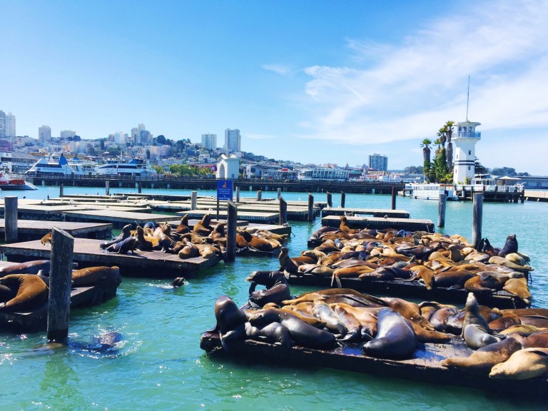 Processed with Rookie Cam