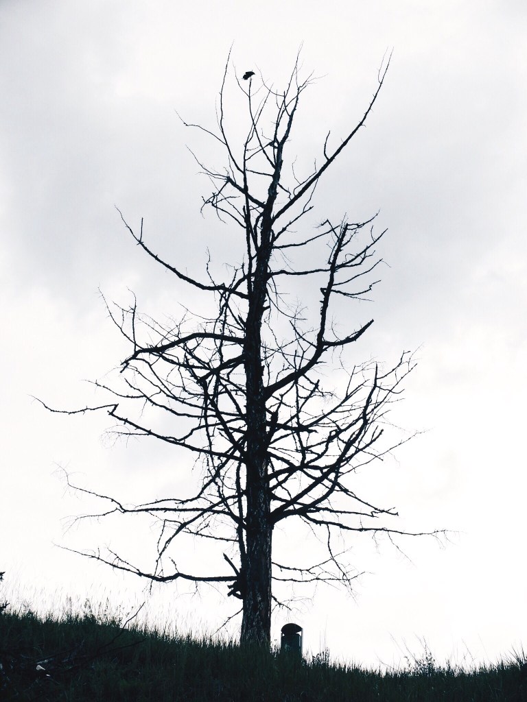 Processed with VSCOcam with hb2 preset