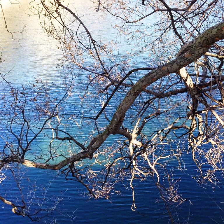 Processed with VSCOcam with s3 preset