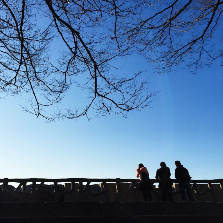 Processed with VSCOcam with s3 preset