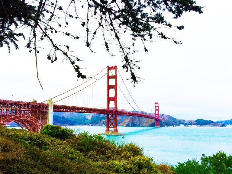 Processed with Rookie Cam Processed with VSCOcam with s3 preset