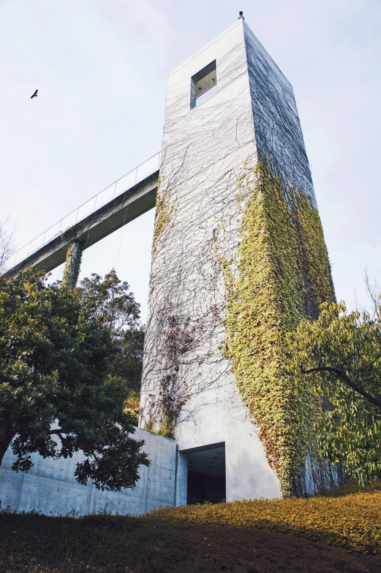 Processed with Rookie Cam