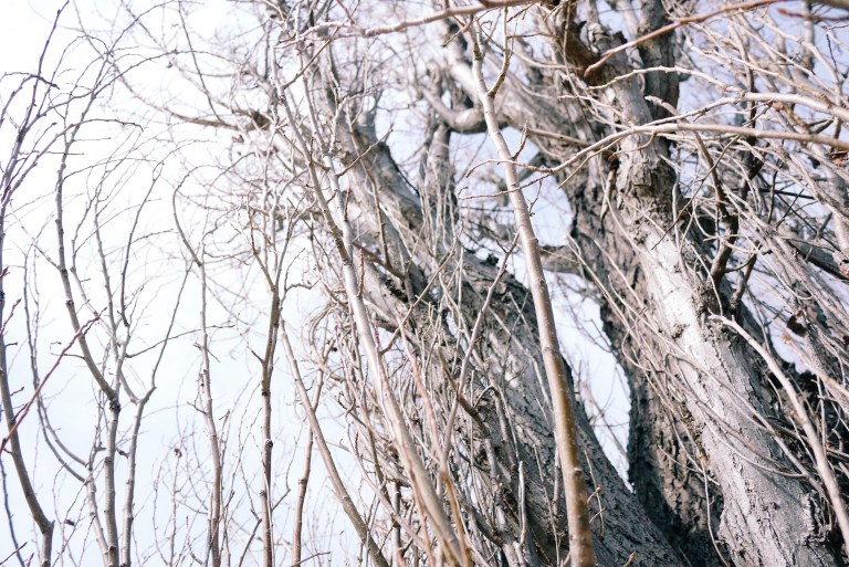 Processed with VSCOcam with c3 preset