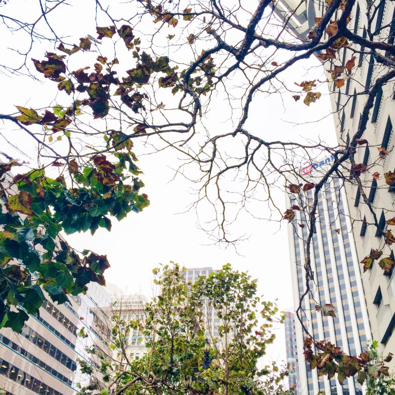 Processed with VSCOcam with hb1 preset