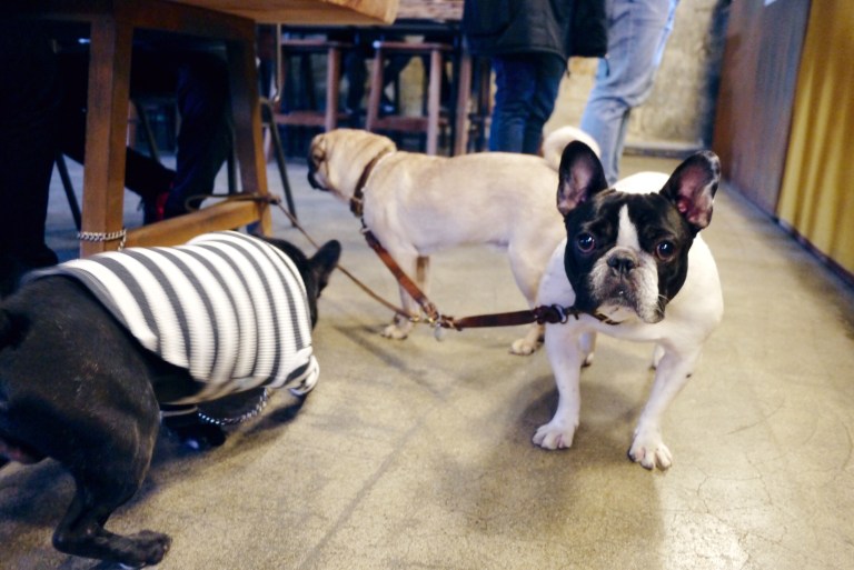 Processed with VSCOcam with hb1 preset