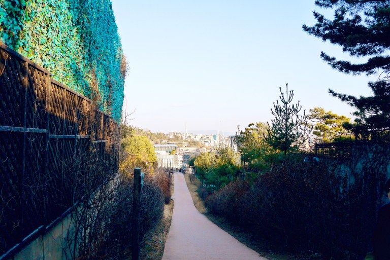 Processed with VSCOcam with m6 preset