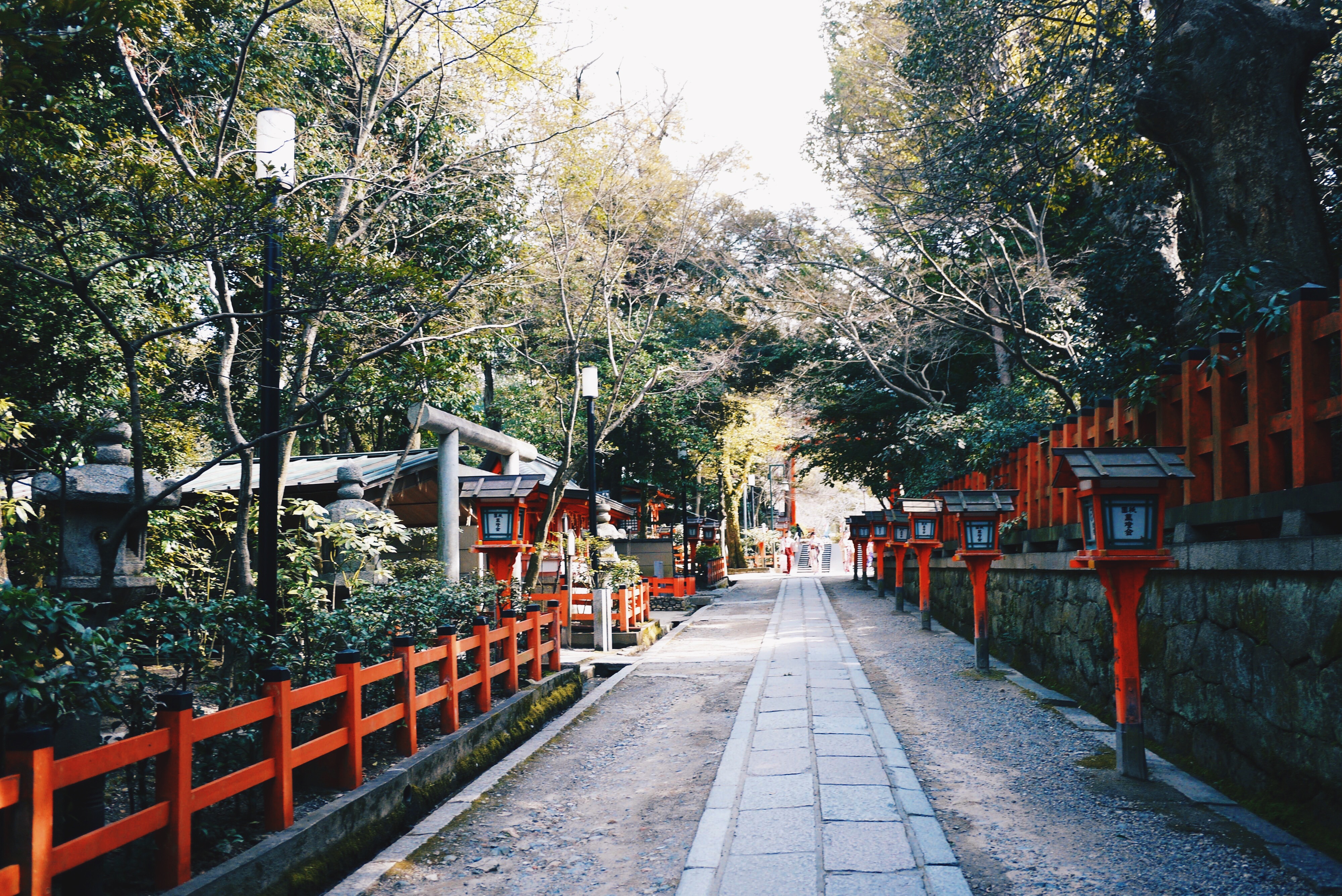 Processed with VSCOcam with hb2 preset