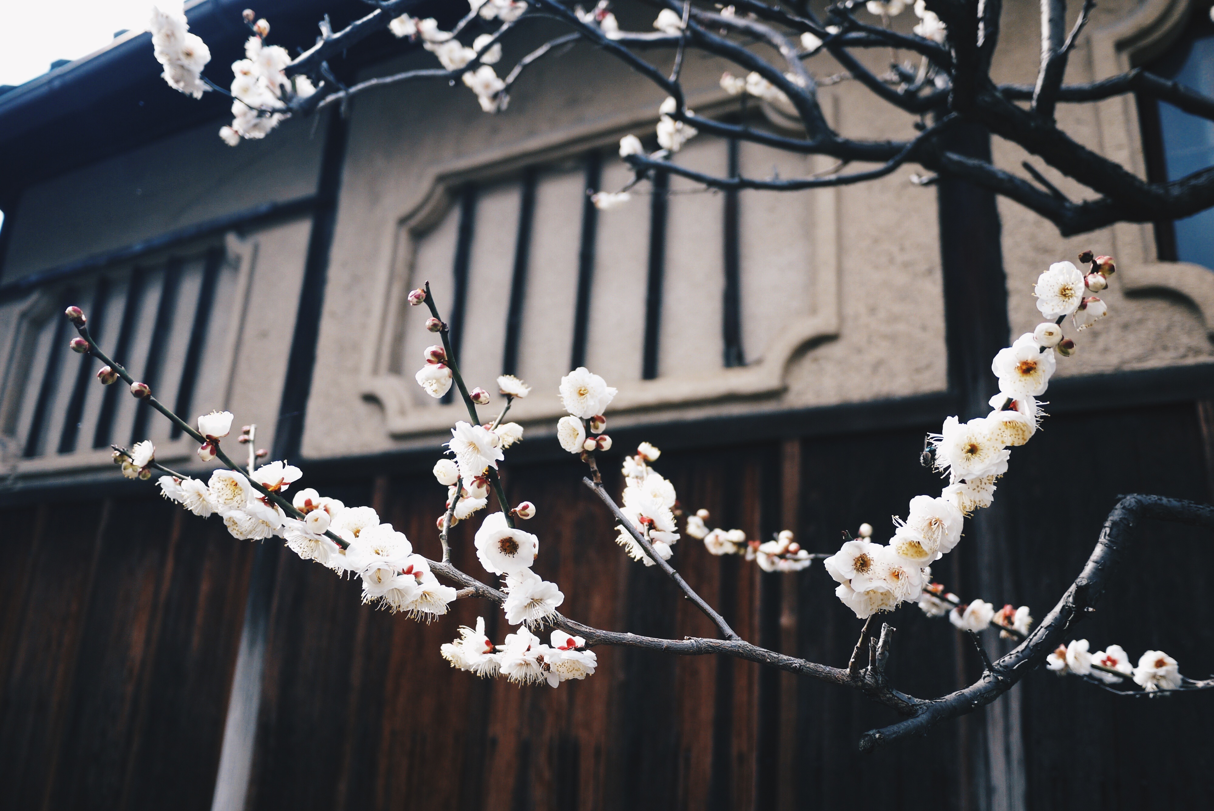 Processed with VSCOcam with hb2 preset