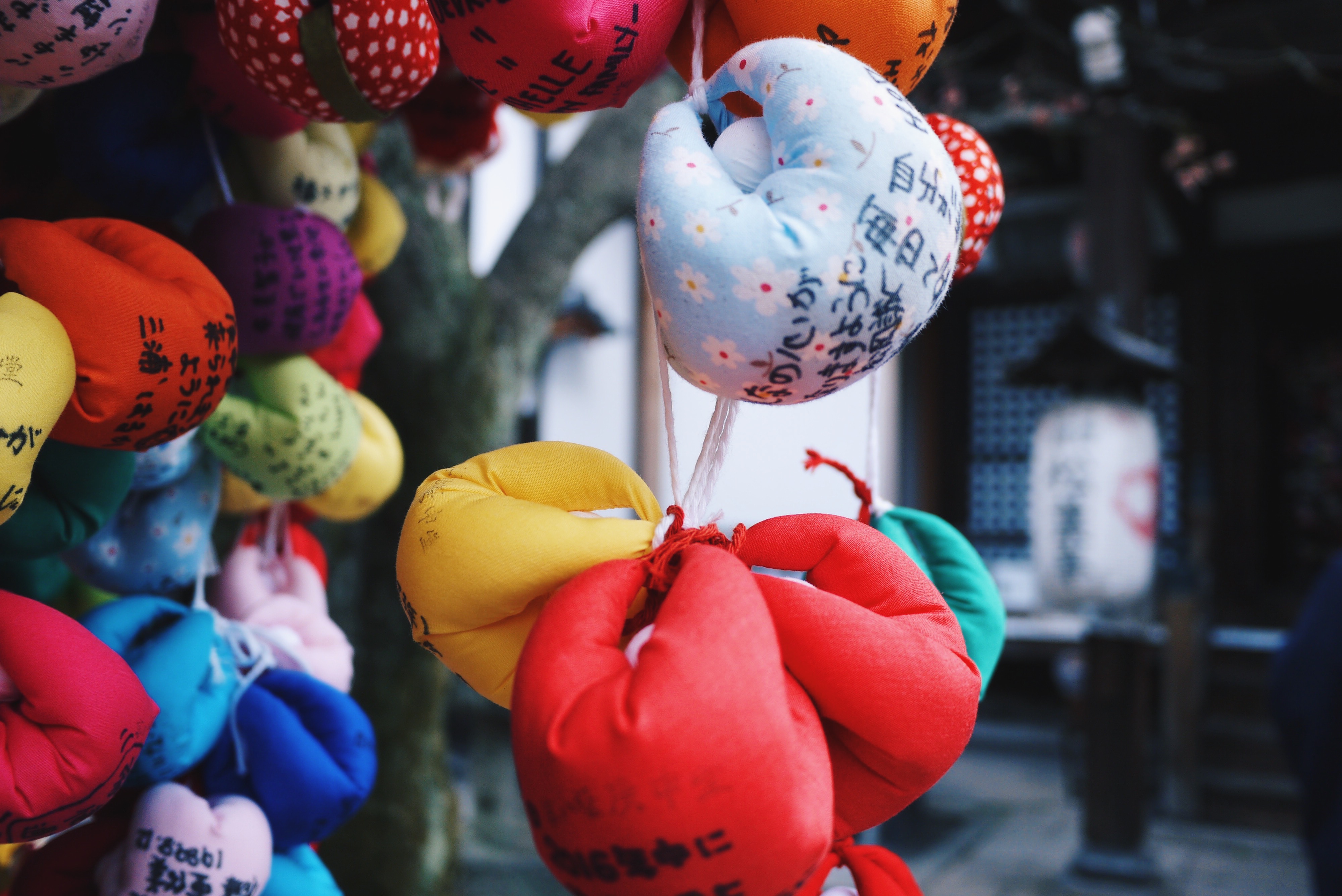 Processed with VSCOcam with hb2 preset