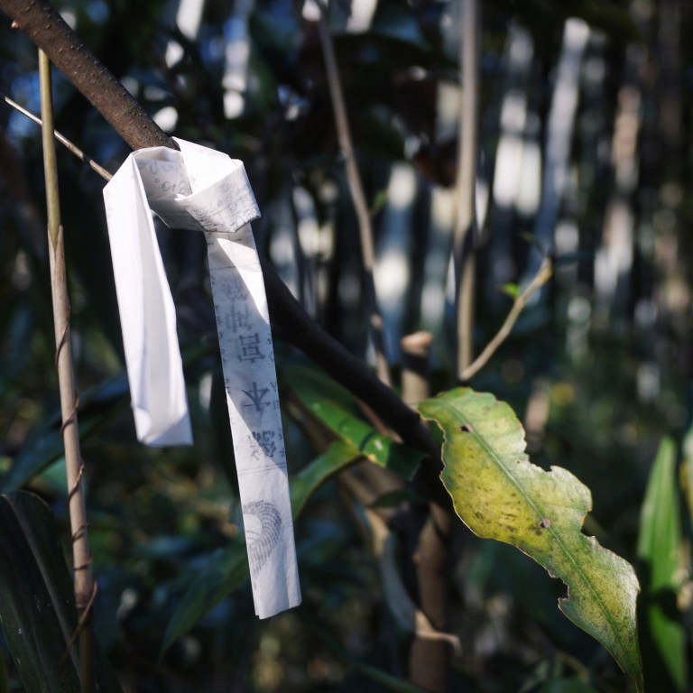 Processed with VSCOcam with hb2 preset