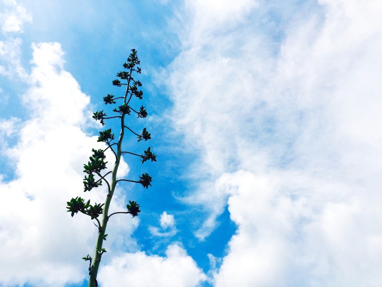 Processed with VSCOcam with c2 preset