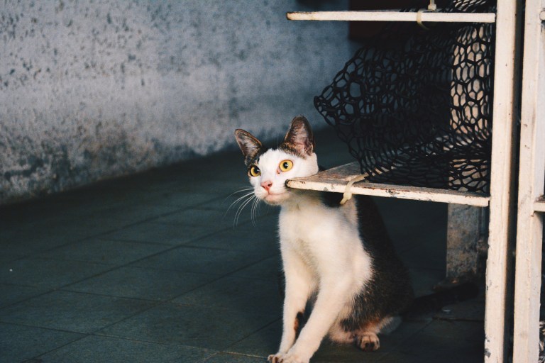 Processed with VSCOcam with hb2 preset