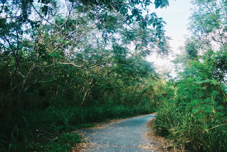 Processed with VSCOcam with g2 preset Processed with VSCOcam with hb2 preset