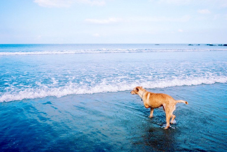 Processed with VSCOcam with k2 preset