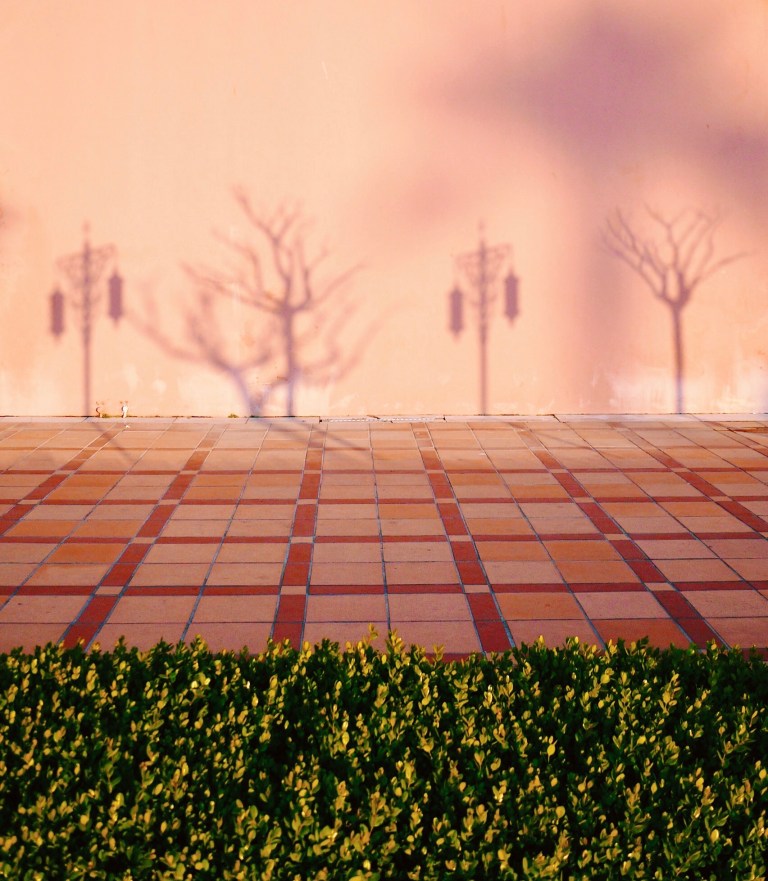 Processed with VSCOcam with c1 preset