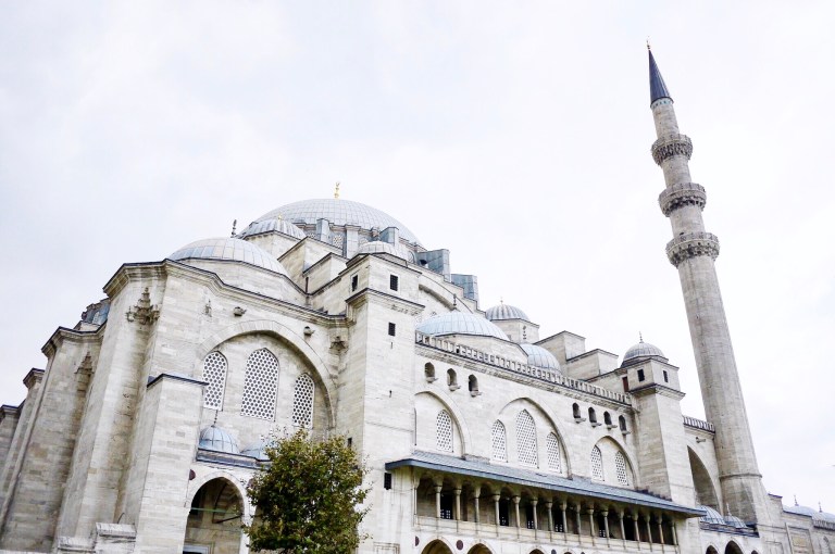 Processed with VSCOcam with s3 preset