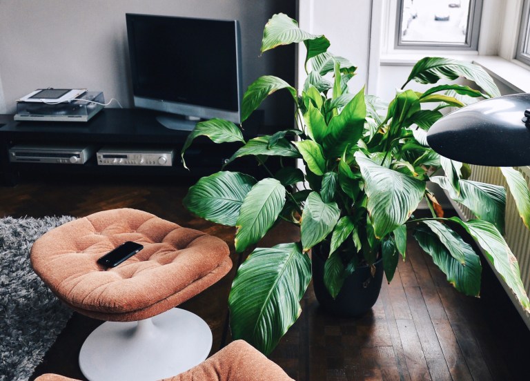 Processed with VSCOcam with hb1 preset Processed with VSCOcam with hb2 preset