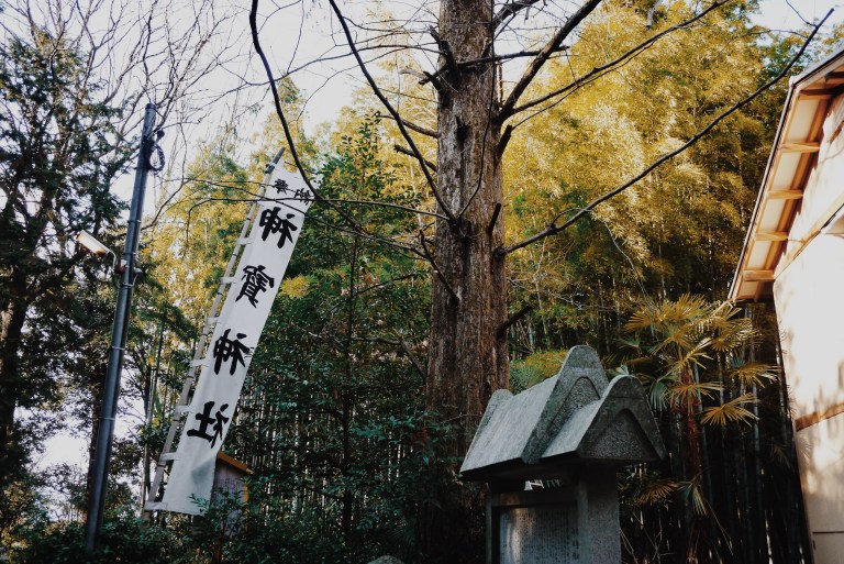 Processed with VSCO with m5 preset