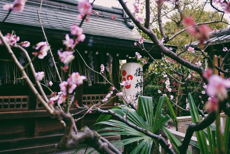 Processed with VSCO with 6 preset