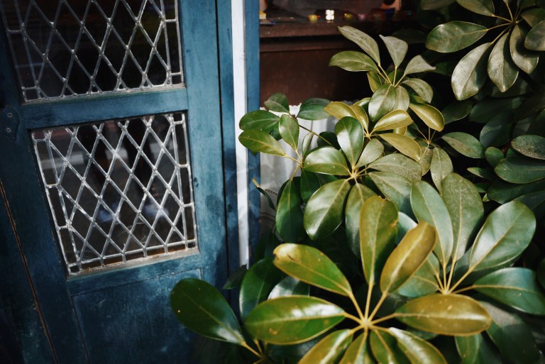 Processed with VSCO with c8 preset