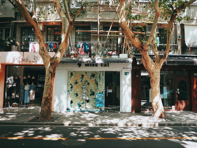 OLYMPUS DIGITAL CAMERA Processed with VSCO with c8 preset