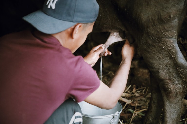 Processed with VSCO with j2 preset