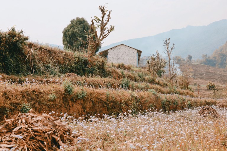 Processed with VSCO with hb2 preset